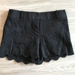 LOFT Scallop Edge Riviera Shorts